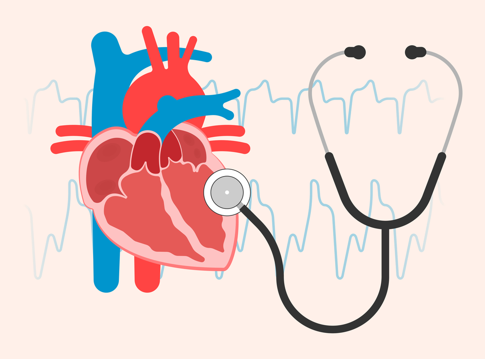 Echocardiography risks and side effects